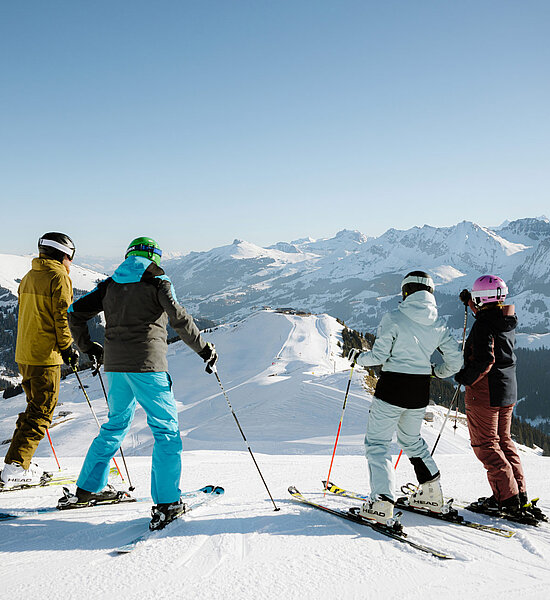 Vier Skifahrer bewundern Aussicht