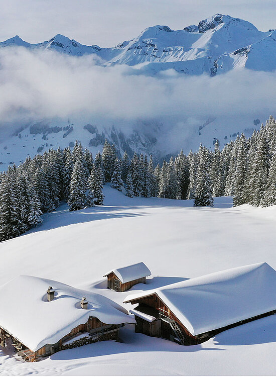 Winterlandschaft mit drei schneebedeckten Chalets umgeben von einem Arvenwald und imposantem Bergpanorama.