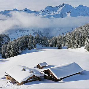 Winterlandschaft mit drei schneebedeckten Chalets umgeben von einem Arvenwald und imposantem Bergpanorama.