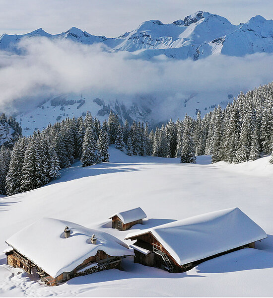 Winterlandschaft mit drei schneebedeckten Chalets umgeben von einem Arvenwald und imposantem Bergpanorama.