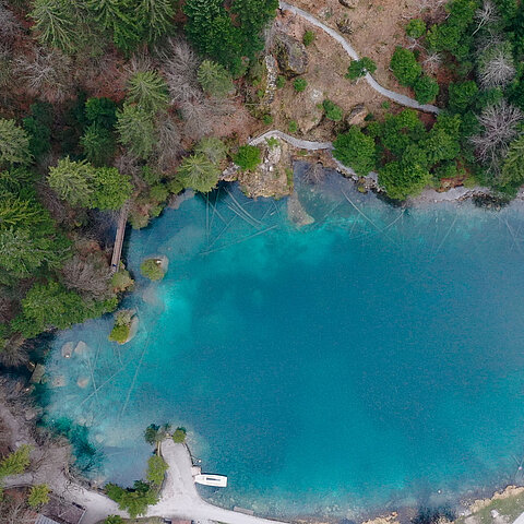 Dronenaufnahme des strahlblauen Blausees vor dem saftig grünen Arvenwald.