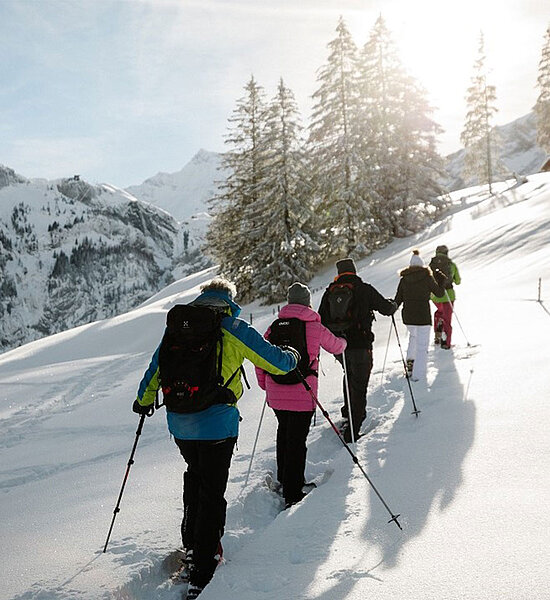 Berglandschaft und fünf Schneeschuhwanderer