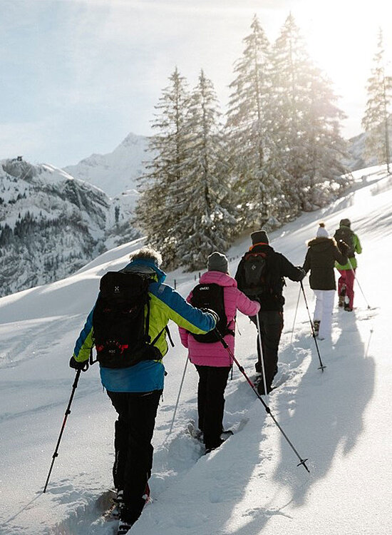 Berglandschaft und fünf Schneeschuhwanderer