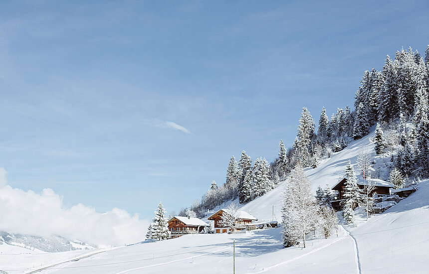 Winterlandschaft Elsigbach