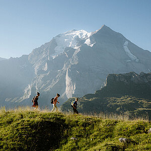 Trois randonneurs marchent sur un sentier entouré de prairies verdoyantes, d'un imposant panorama de montagnes, d'un ciel bleu et de soleil.