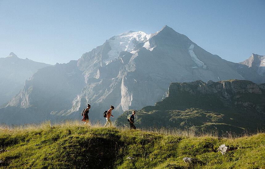 Via Alpina Kandersteg Drei Wanderer gehen auf einem Wanderweg umgeben von saftig grünen Wiesen, imposantem Bergpanorama, blauem Himmel und Sonne.
