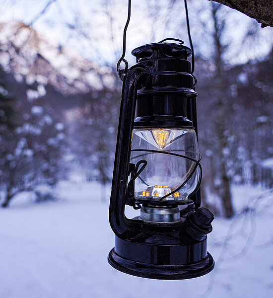 Laterne im Hintergrund Wald