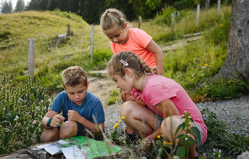 Kinder beim Rätseln