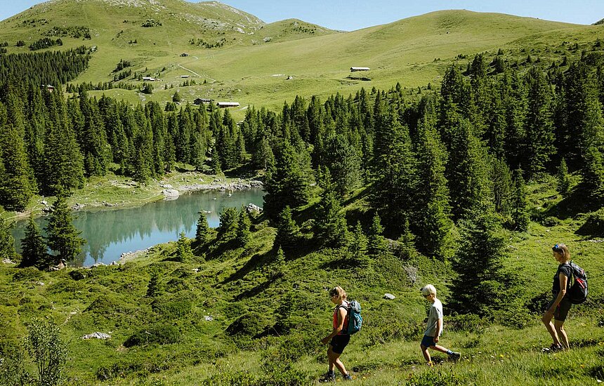 Berglandschaft und Elsigsee