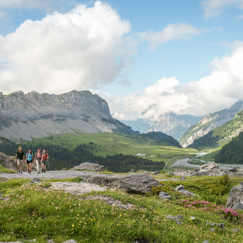 Gruppe auf der Gemmiwanderung: Kandersteg - Daubensee. Hier mit der Moor & Bachlandschaft Sunnbüel im Hintergrund.