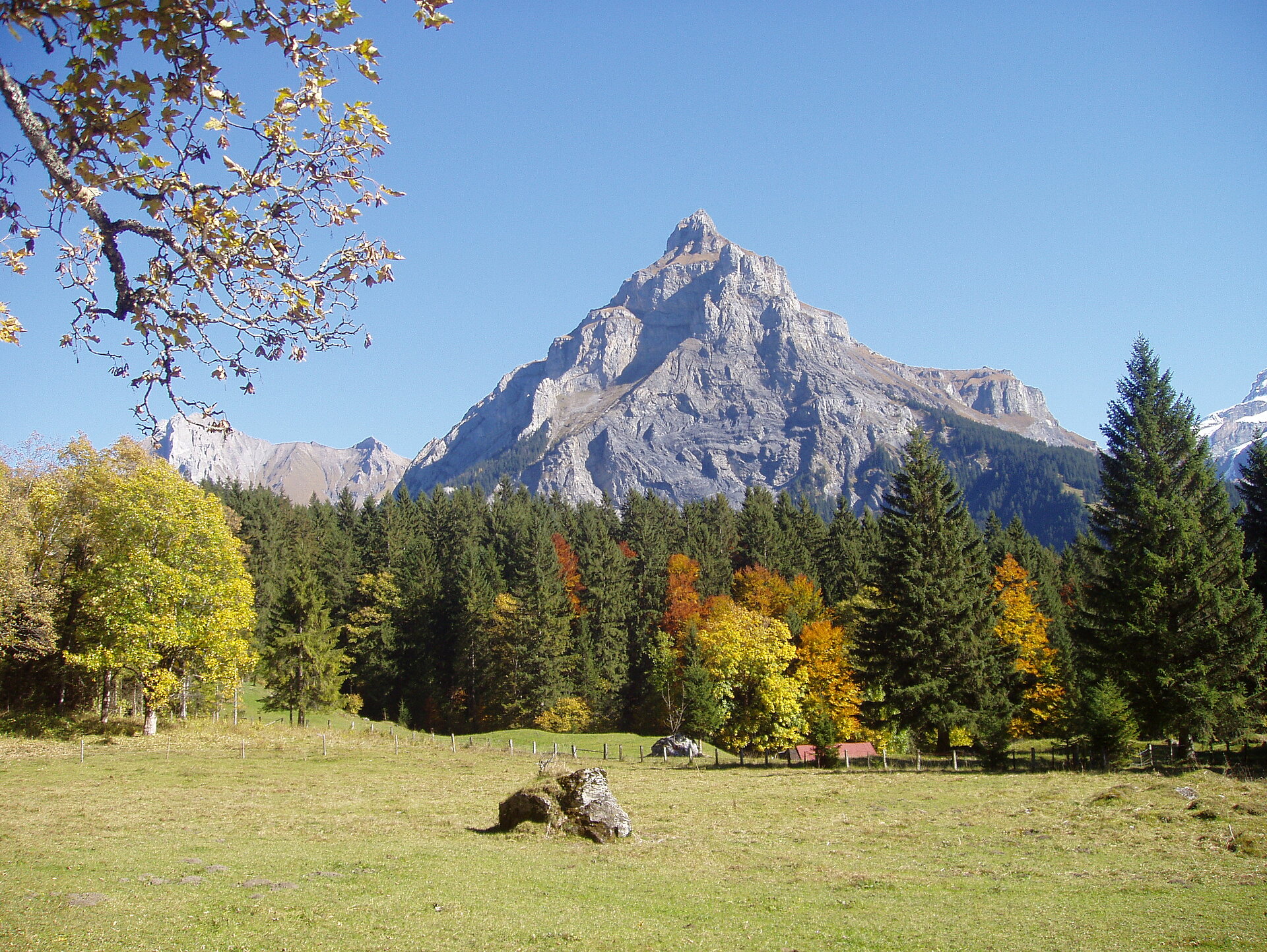 Bire in Kandersteg
